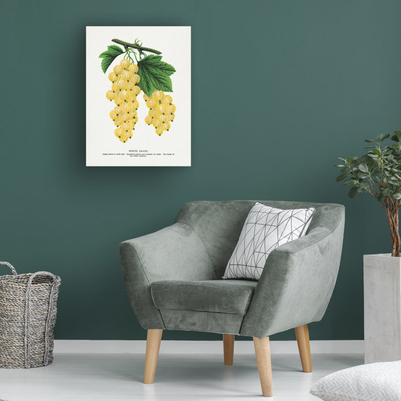 Art sur toile, raisin botanique sur toile, H 19 po x l 14 po