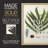 Collected Ferns III Framed Print - Solid Wood