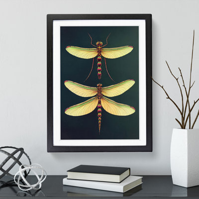 Desirable Dragonflies - Framed Print