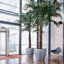 Classico Pot Planter-60539206