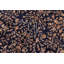 Parmod Wool Oriental Rug