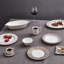 Renaissance Gray 10.7in Dinner Plate