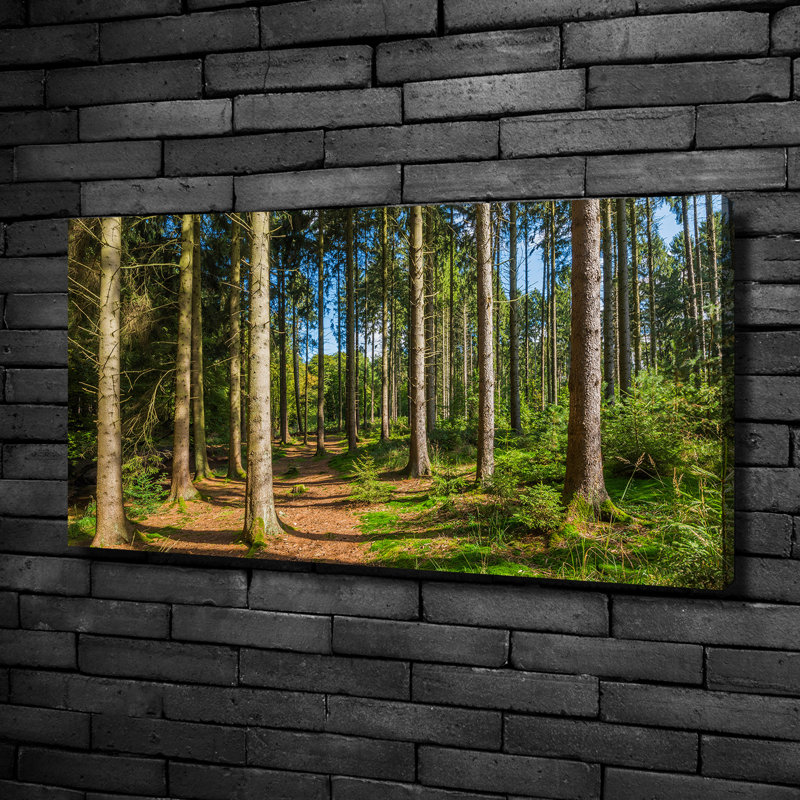Panorama Of The Forest - Wrapped Canvas Print