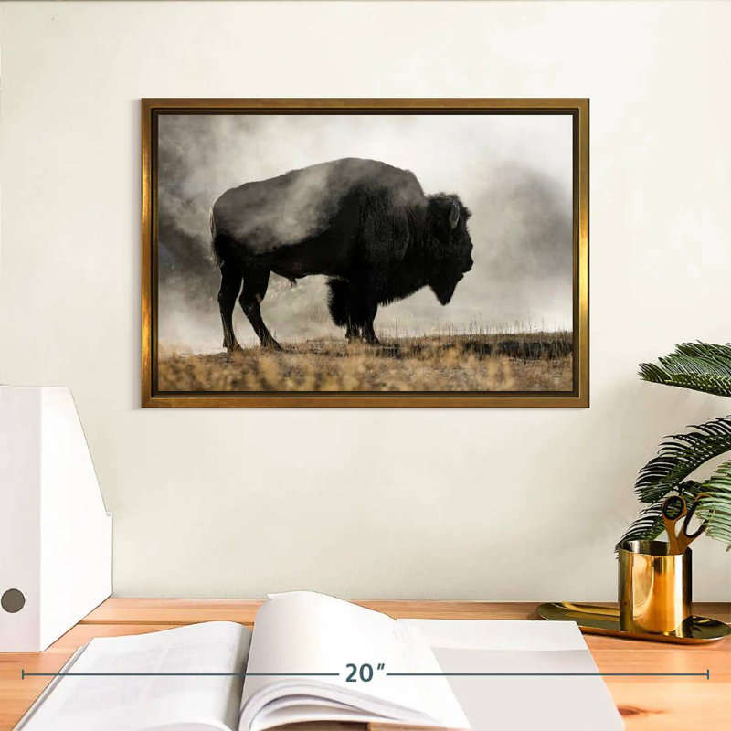 Geyser Basin, Floating Frame Gold, 13" X 9"