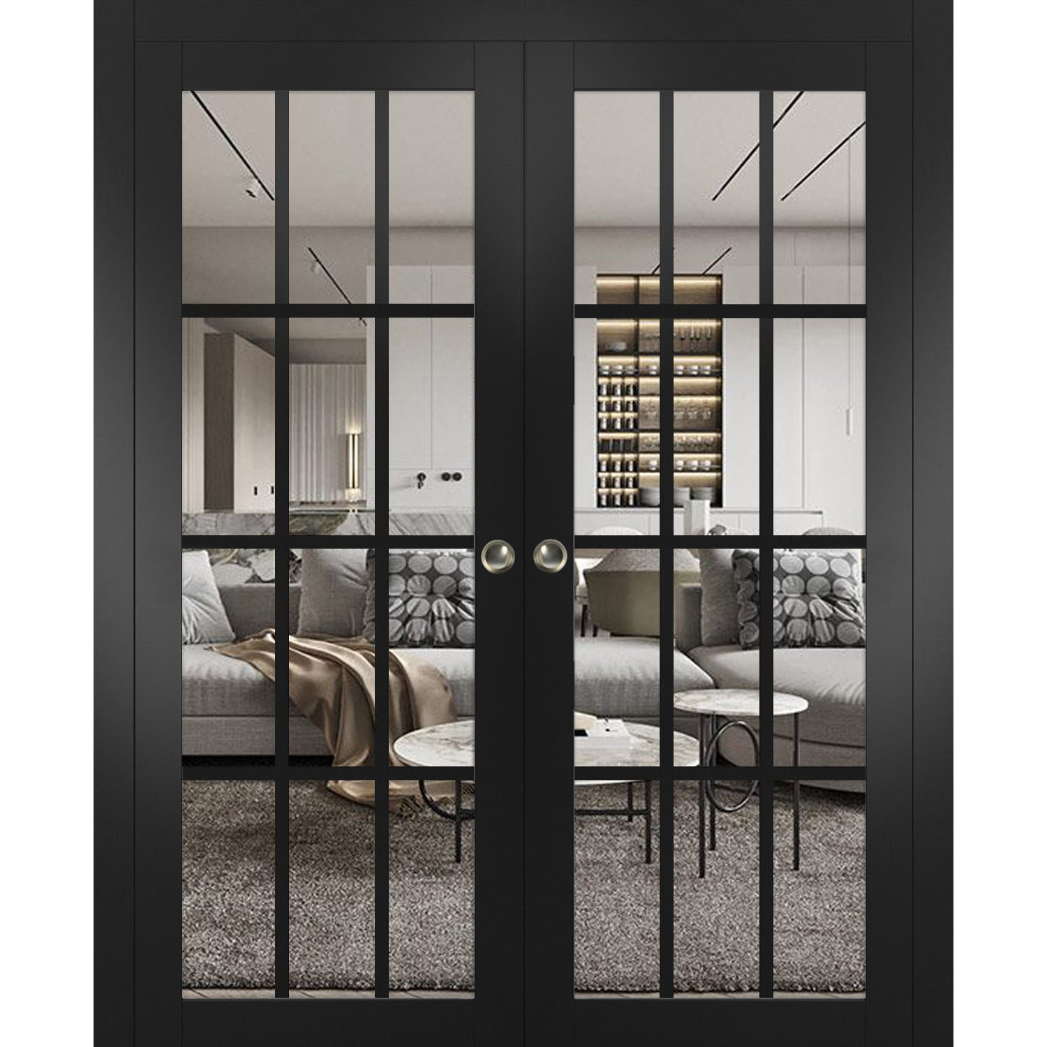 SARTODOORS Felicia Clear Glass Sliding Closet Black Doors | Wayfair