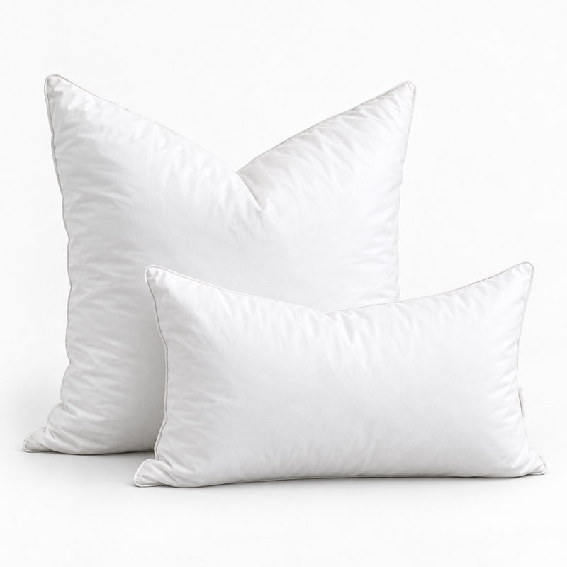 Coussin décoratif en duvet d'oie et en duvet, 95% plumes et 5% en duvet, coussin décoratif moelleux, H 20 po x l 12 po