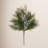 Juniper Arrangement