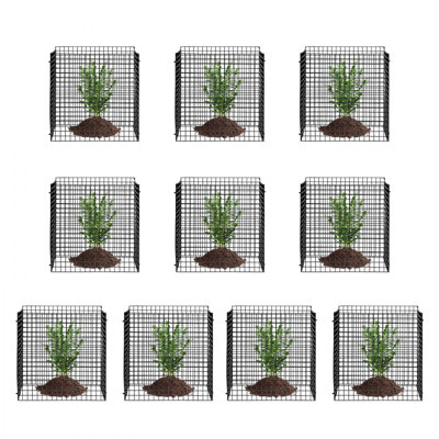 Cage à plantes 12 po x 12 po pour plantes