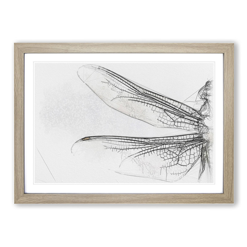 Dragonfly Vol.1 - Picture Frame Graphic Art, 48cm H x 65cm W x 2cm D, Oak