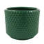 60cm Faux Onion Grass Grass in Ceramic Pot-2013013911