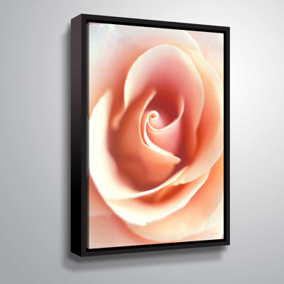 " Peach Rose " by Kathy Yates