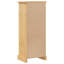 Freestanding Bathroom Cabinet