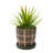 Leyburn Terracotta Planter with Saucer & Grid Pattern