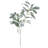 29" Tall Lamb's Ear Plant