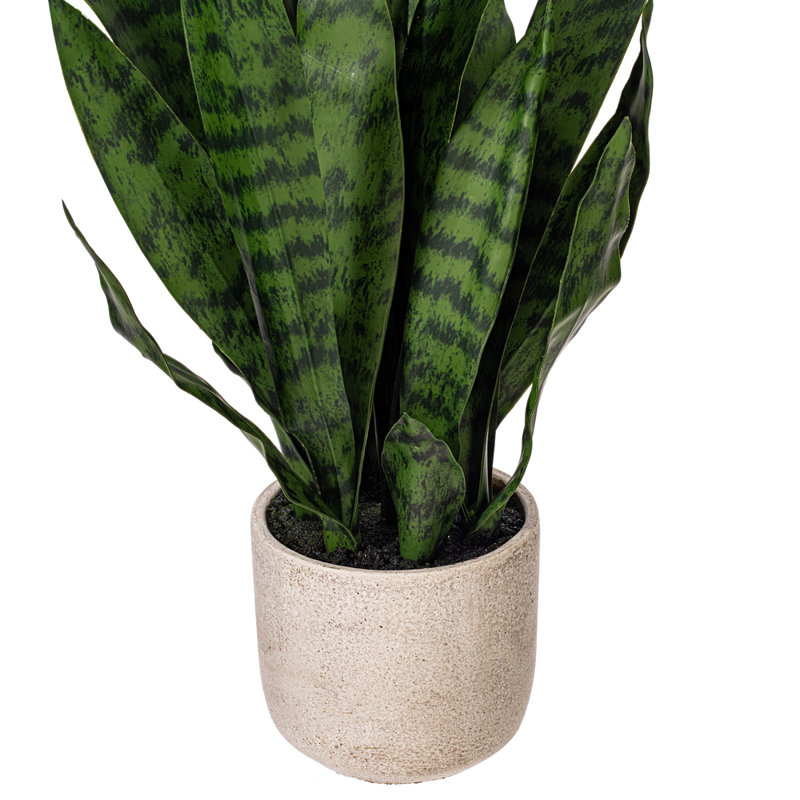 Faux Snake Plant Plant in Cement Pot