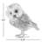 Pipa Owl - Tail Side