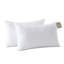 Oreiller moyen en polyester Wayfair Sleep-1343289727-1390211849