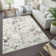 Haldane High-Low Abstract Area Rug