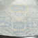 Chauncey Performance Oriental Rug