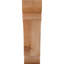 Attelle de genou olympique-31229630-31230592-29309935