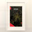 Rome, carte de la ville, impression dans la nature-67817444-67817450