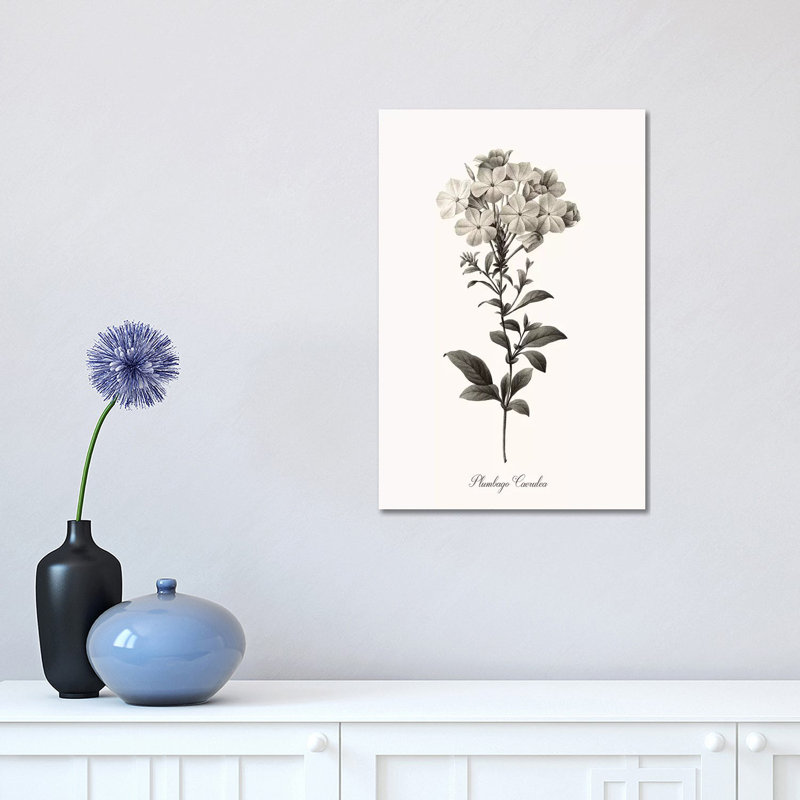 Sketchbook Leadwort 1 Piece Wrapped Canvas Wall Art, 45.72cm H x 30.48cm W