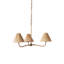 Delphine 3 - Light Chandelier