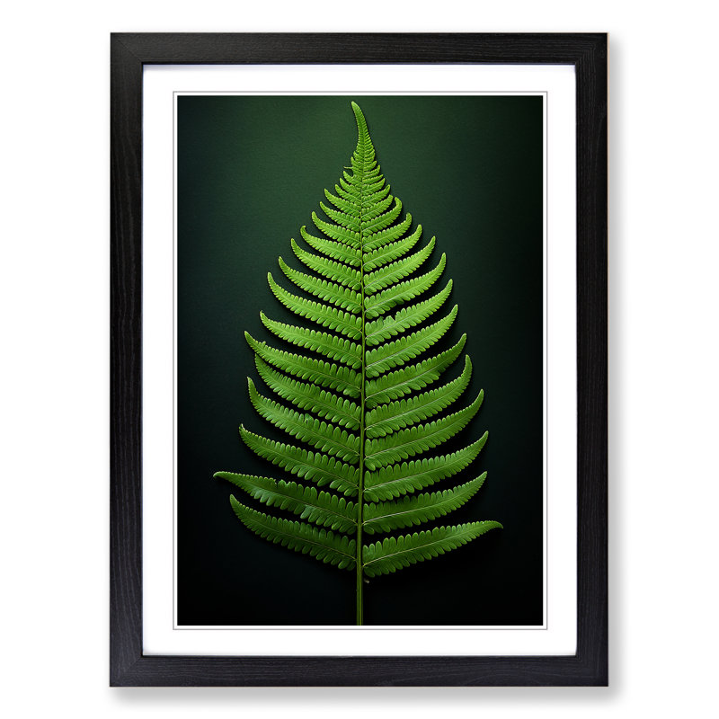 Fern Leaf Tachisme - Framed Print, Black, 34cm H x 25cm W x 2cm D