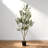 60" Artificial Olive Tree In Black Plastic Pot, 1Pc/Set