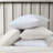 Wrangler Printed Cozy Novelty Sheet Sets-123752040-113649744