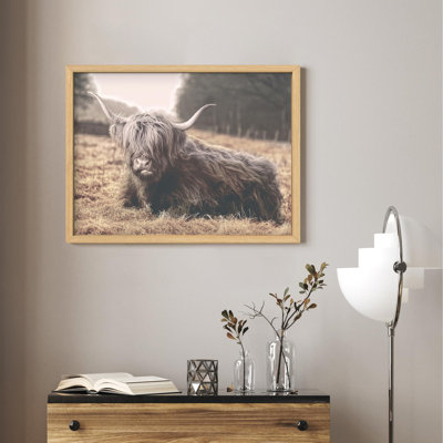 Illustration d'une petite vache Highland