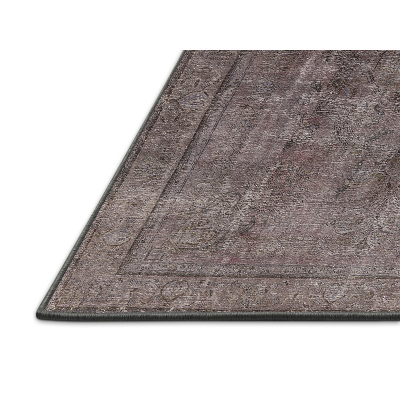 Jadiel Oriental Indoor Rug, Rectangle 2' x 3'
