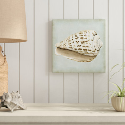 Sea Dream Shells II 1 Piece Wrapped Canvas Painting