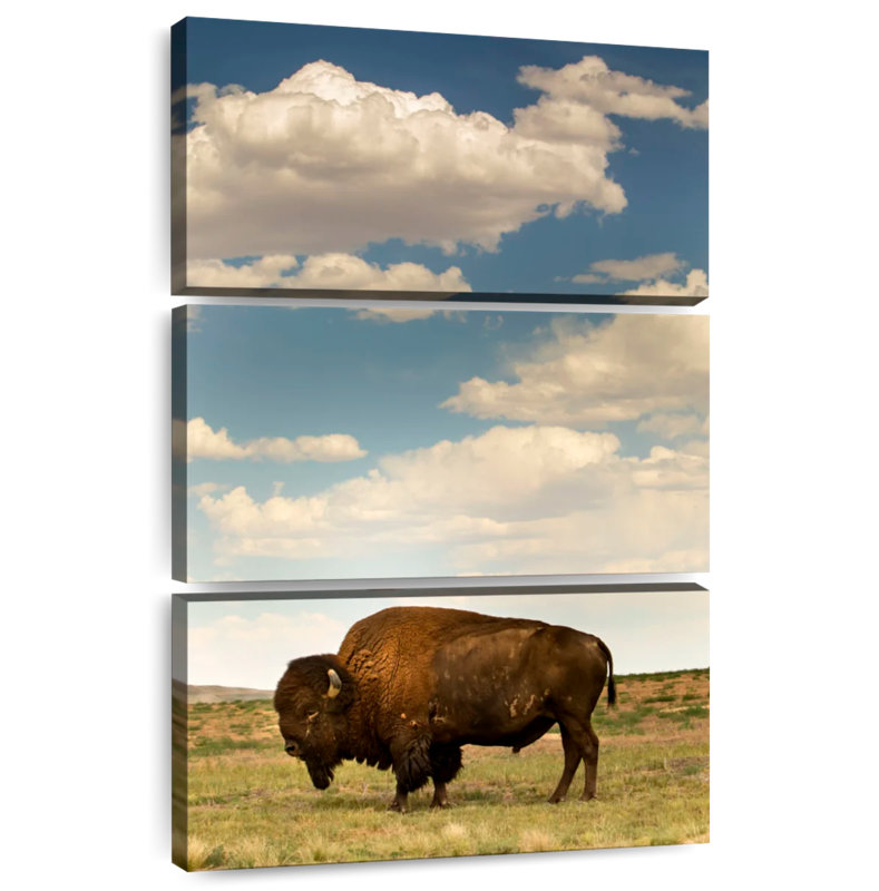 Brampt Rocky Mountain Bison, 38" H x 24" W