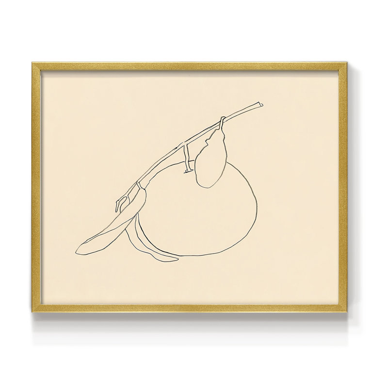Citrus Contour II -Framed Print - Restickable, 22" H x 28" W
