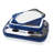 Intex 48 Quarts Pop-Up Cooler in Blue