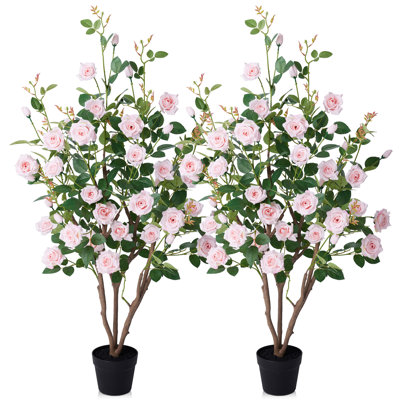 Ashwell UV Resistant Rose Tree