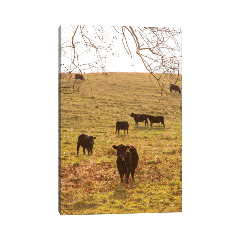 Fall Field II by Aledanda - Print on Canvas, Wrapped Canvas, 45.72cm H x 30.48cm W x 1.91cm D