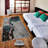 Toimi Geometric Indoor Rug-1476904118