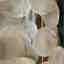 Customer photo 2 of 4