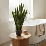 33'' Faux Foliage Plant in Planter