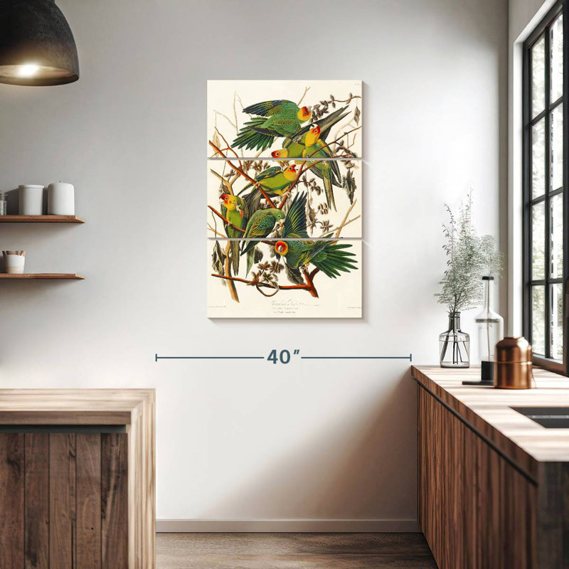 Brampt Carolina Parakeet, 38" H x 24" W