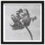 Tidal Wilt I Print by Oliver Gal-431151319-431151321