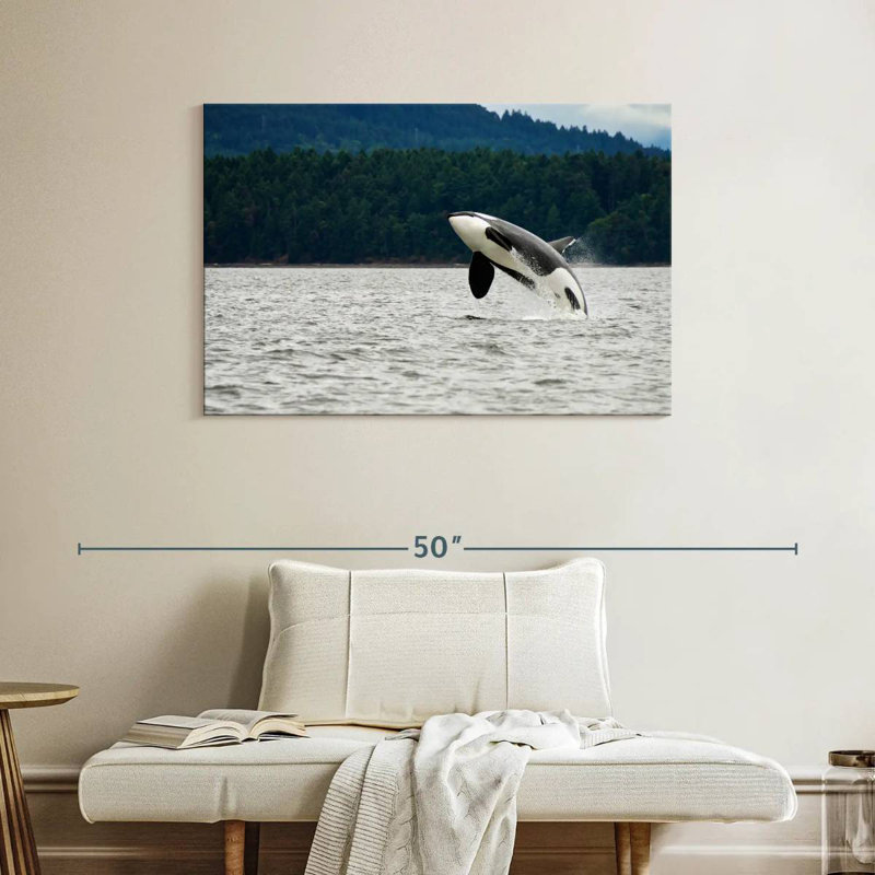 Crowle Orca Jumping, 26" H x 39" W