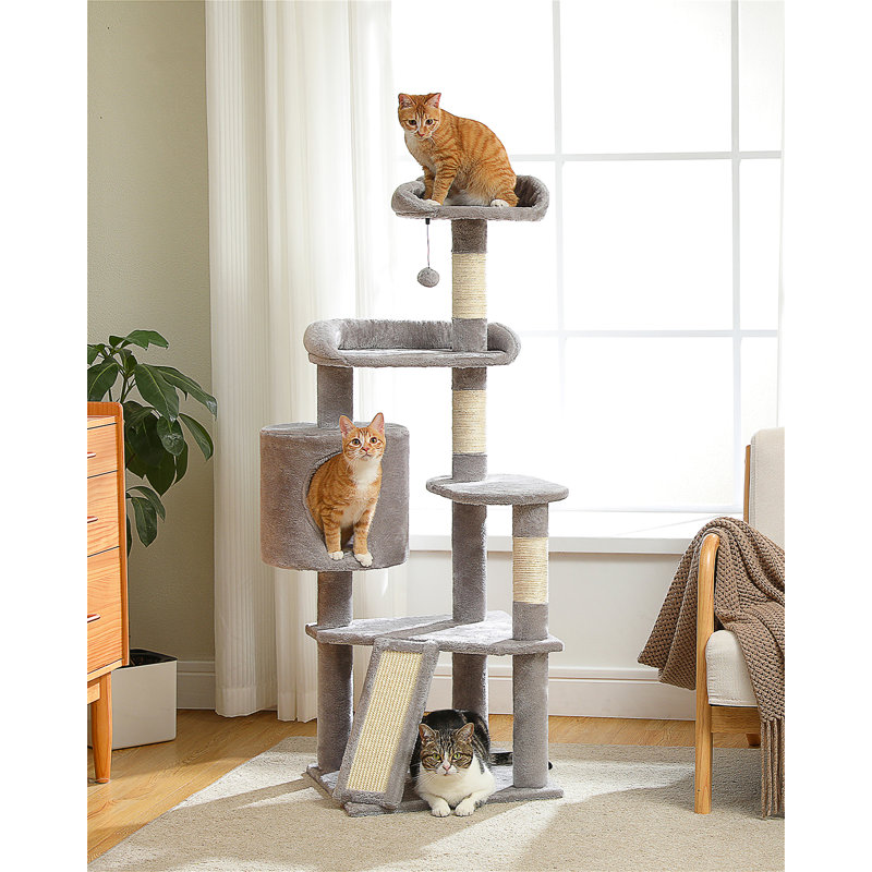 Arbre à chat