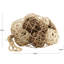 Remplissage de vase Petula-139740662
