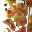 Real Touch Artificial Orchids Plastic, Silk Artificial Arrangement in Planter-107236910-107236912