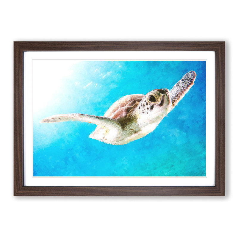 Green Turtle - Picture Frame Graphic Art Print, 24cm H x 33cm W x 2cm D, Walnut Framed