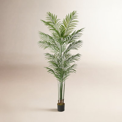 Roni Artificial Palm Tree, Faux Dypsis Lutescens Plant in Pot with Dried Moss, 5 / 6 / 7 Feet