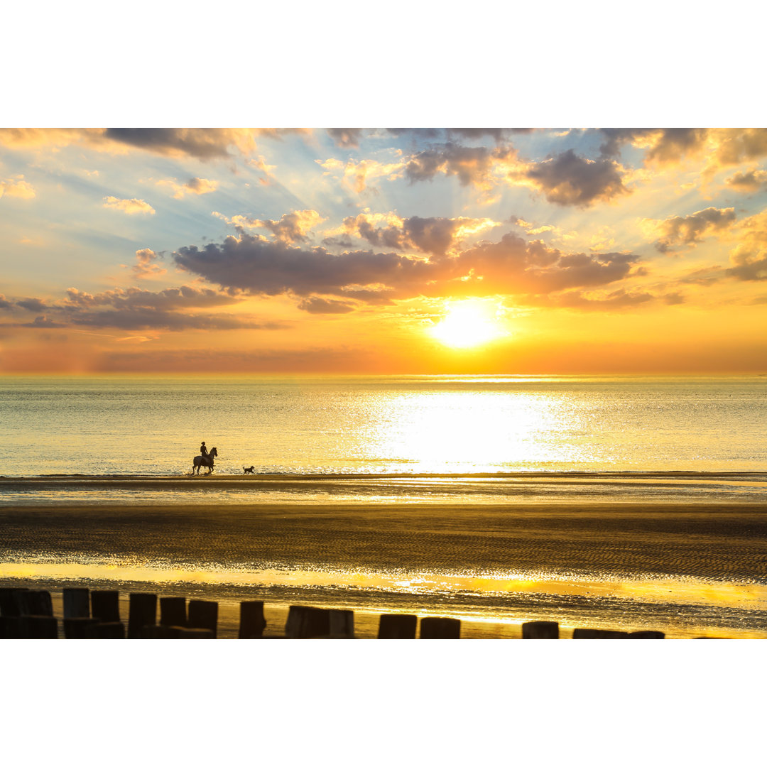 Leinwandbild Horse Backriding In The Seashore With A Dog During Sunset